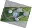 Preview plan